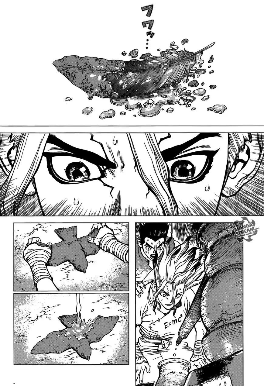 Dr. Stone Chapter 2 21